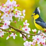 10-spring-haiku-poems-5-7-5