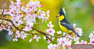 10-spring-haiku-poems-5-7-5