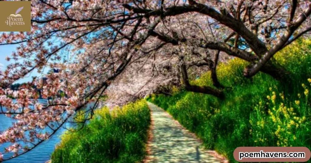 spring-haiku-2-emily-verse