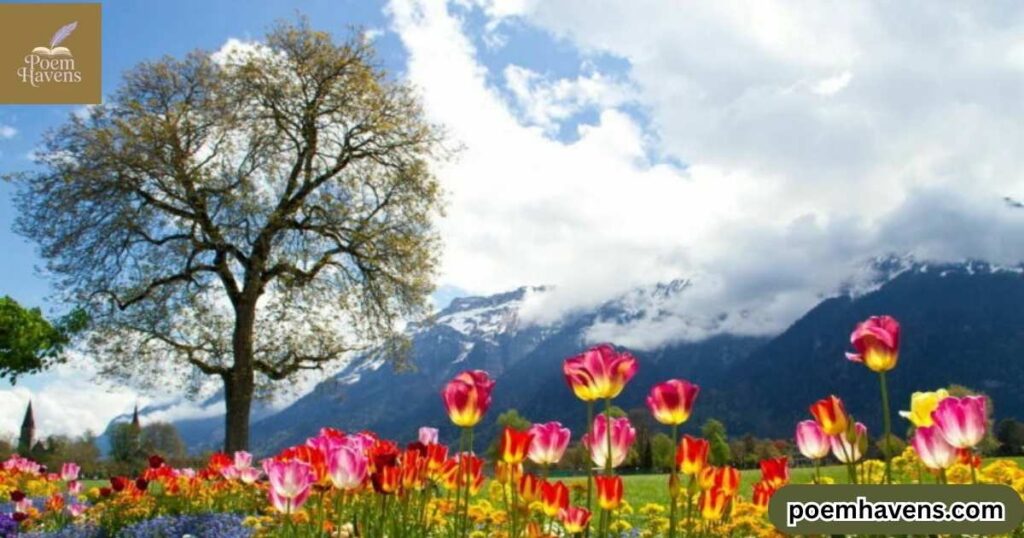 visual-inspiration-tulips-in-art-and-photography