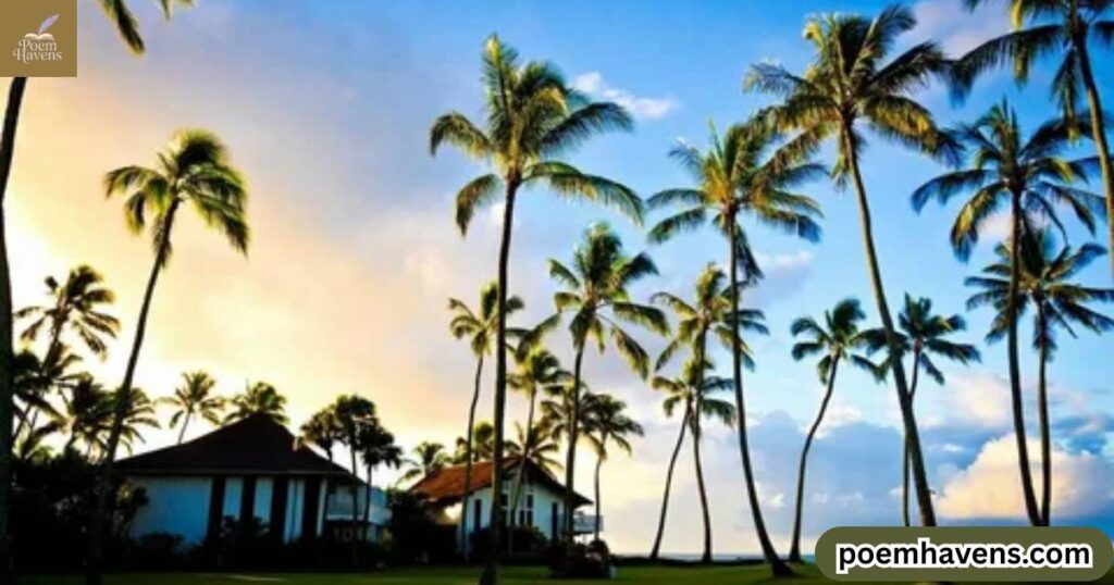 five-limerick-poems-about-hawaii