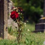 do-not-stand-at-my-grave-and-weep-poem-by-mary-elizabeth-frye-a-poem-about-death-and-eternal-love