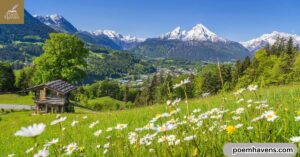 poems-about-nature-beautiful-verses-that-celebrate-the-earth-s-timeless-wonders